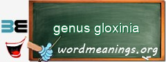 WordMeaning blackboard for genus gloxinia